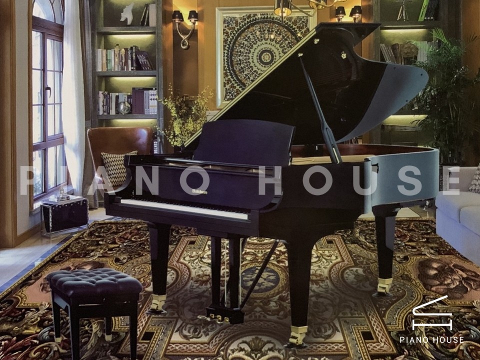 navy ostrich watch bands (4)