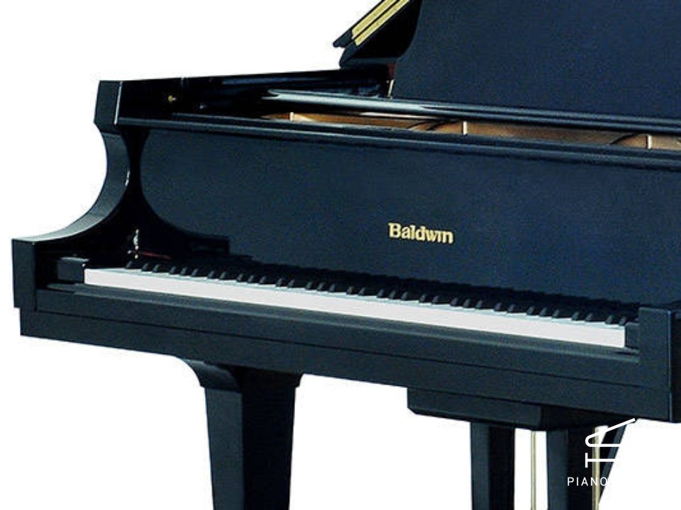 navy ostrich watch bands (4)