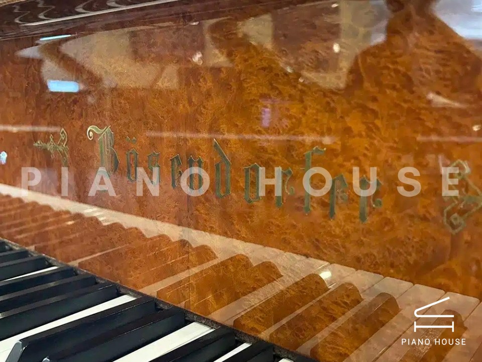 navy ostrich watch bands (4)