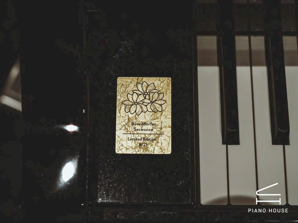 navy ostrich watch bands (4)