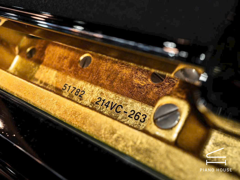 navy ostrich watch bands (4)