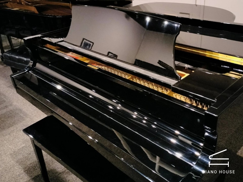 navy ostrich watch bands (4)