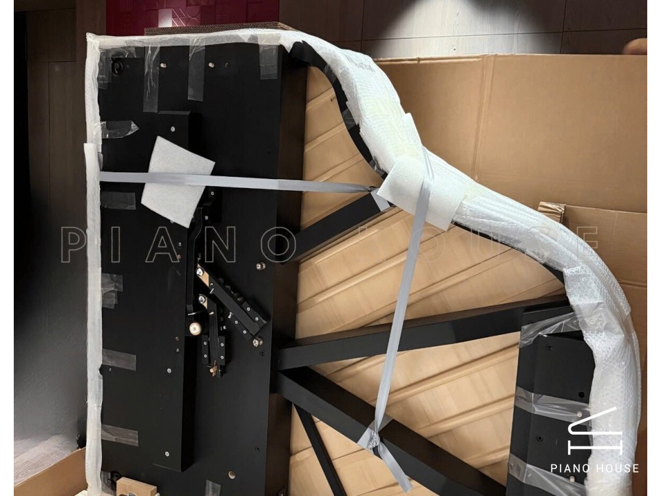 C.Bechstein Academy A160 (Black with Brass)