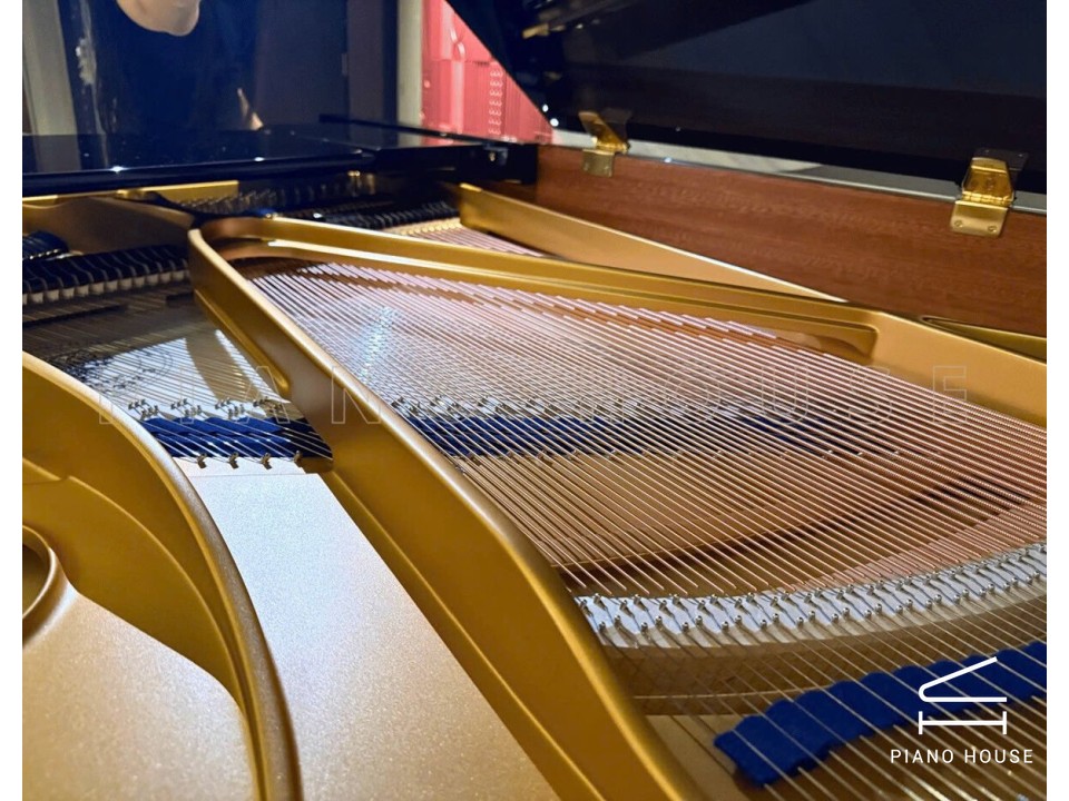 C.Bechstein Academy A160 (Black with Brass)