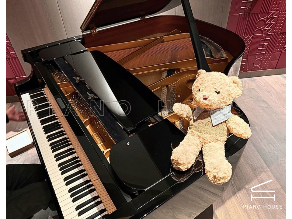 C.Bechstein Academy A160 (Black with Brass)