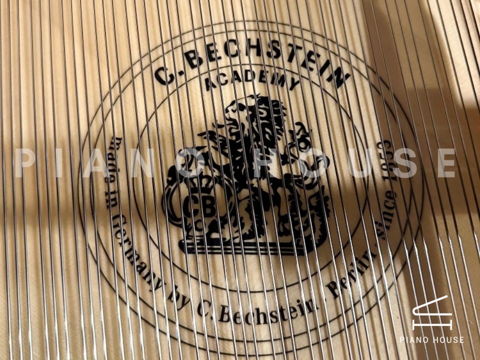 navy ostrich watch bands (4)