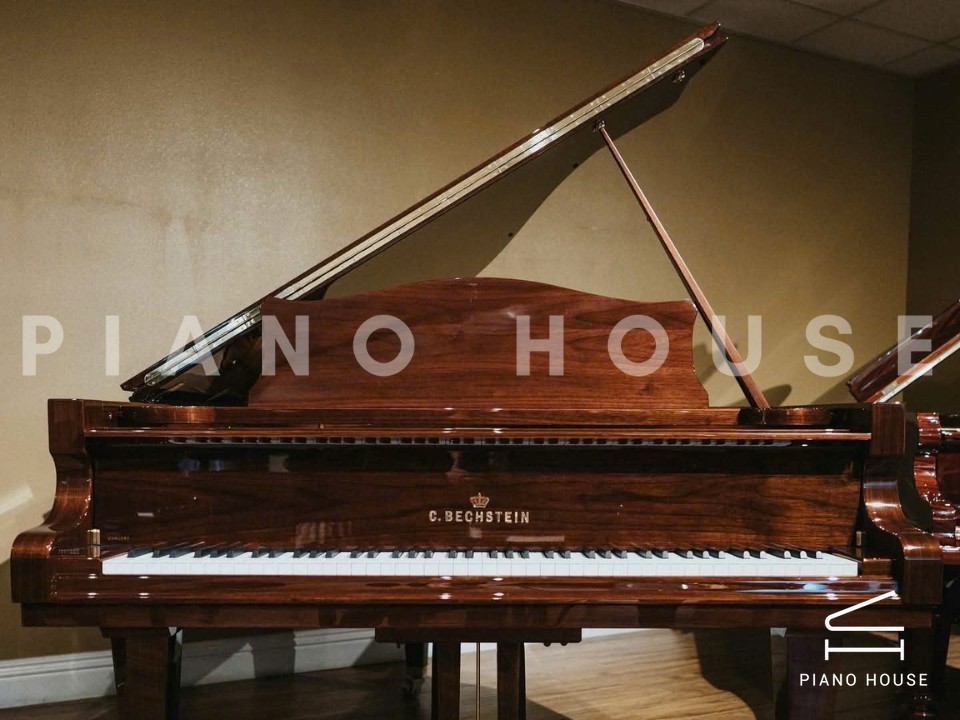 navy ostrich watch bands (4)