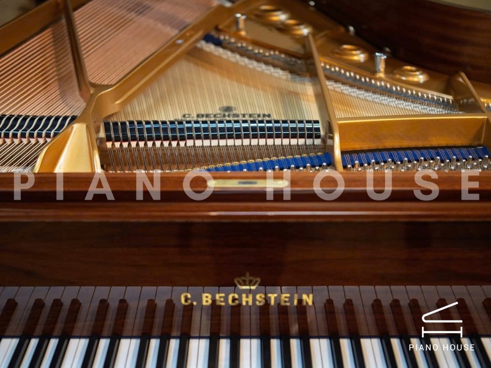 navy ostrich watch bands (4)