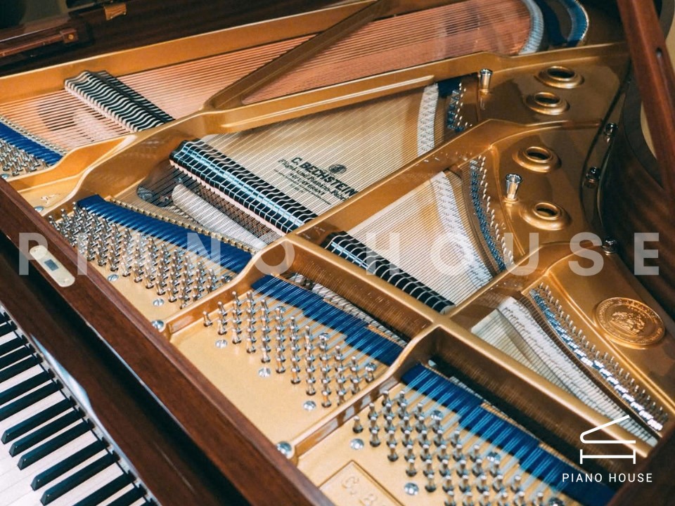 navy ostrich watch bands (4)