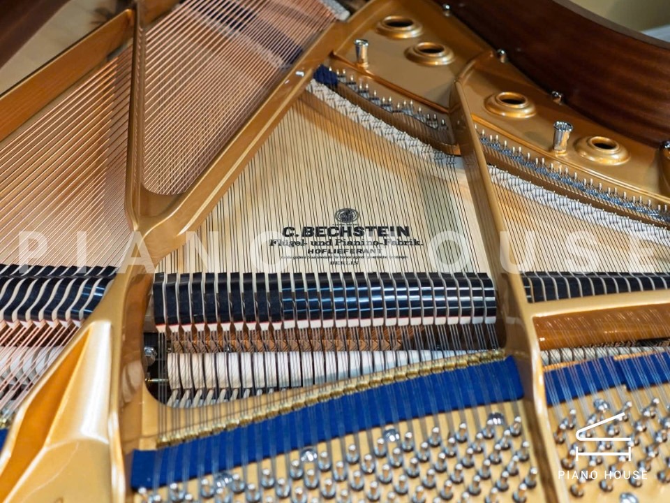 navy ostrich watch bands (4)