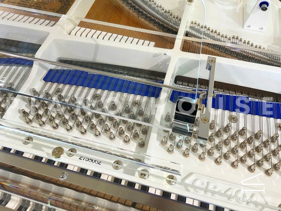 navy ostrich watch bands (4)