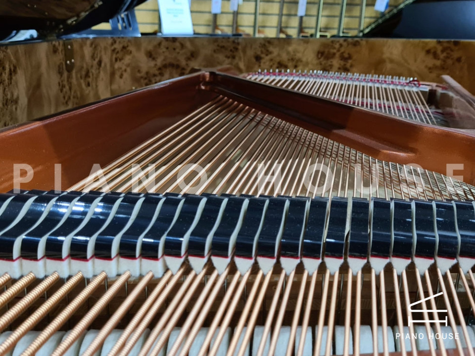 navy ostrich watch bands (4)