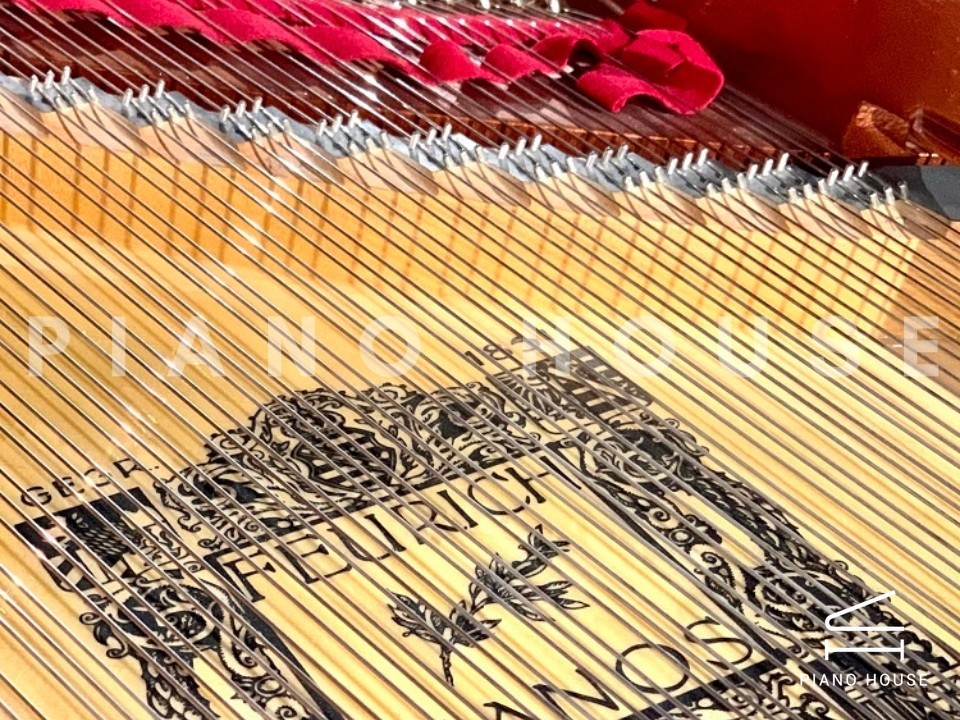 navy ostrich watch bands (4)