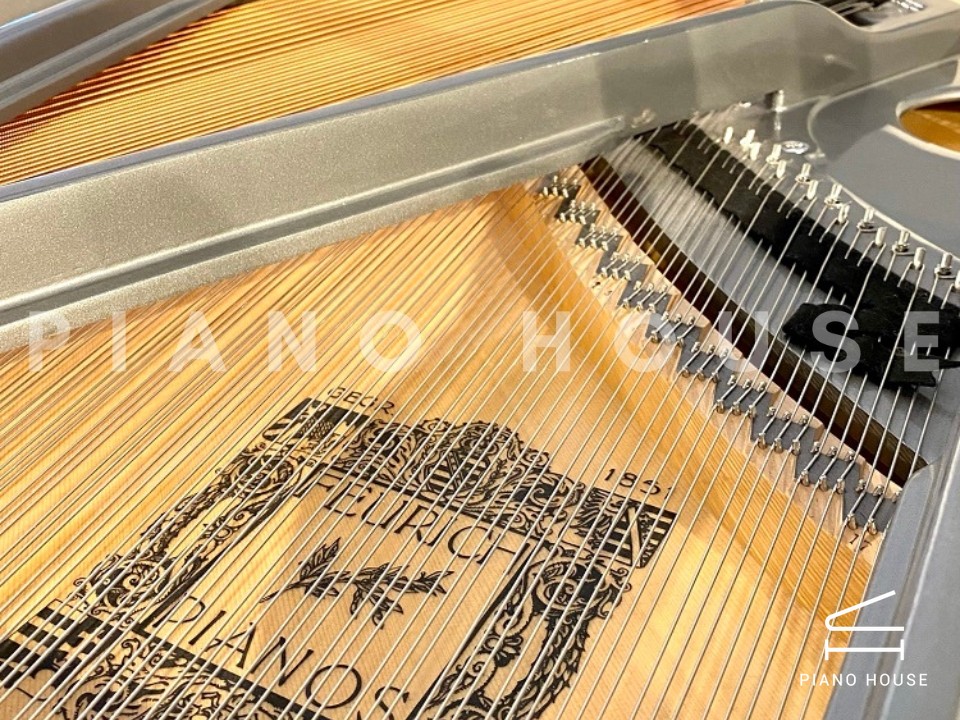 navy ostrich watch bands (4)