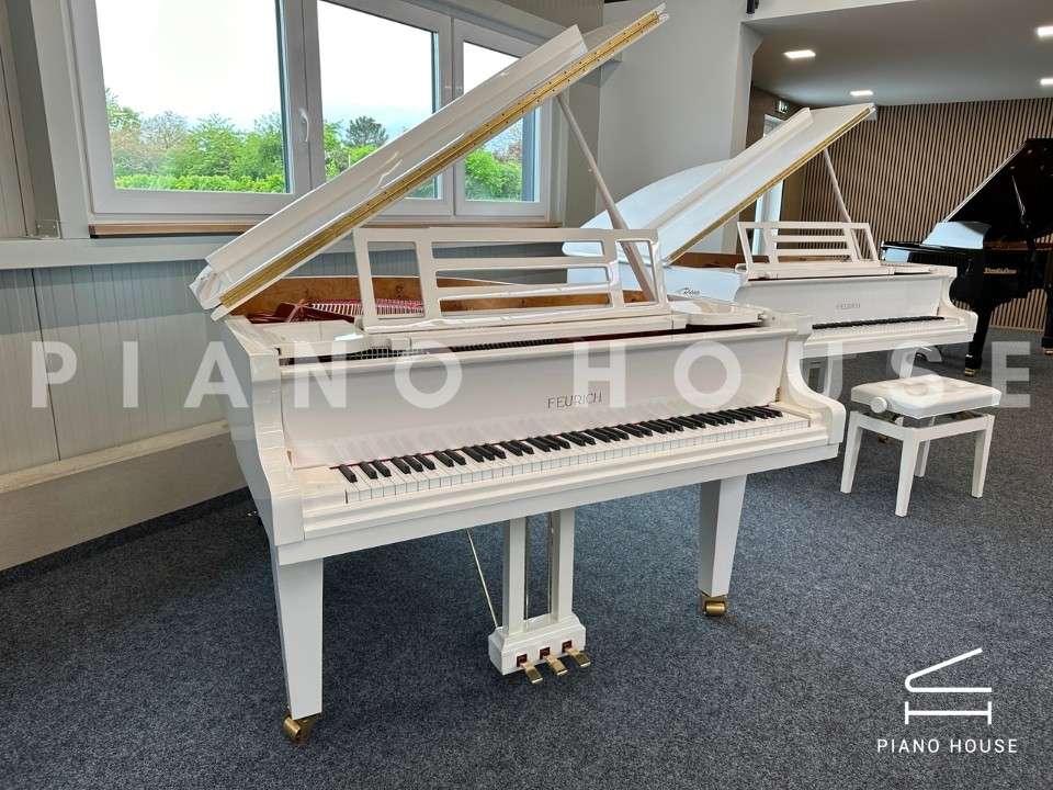 navy ostrich watch bands (4)