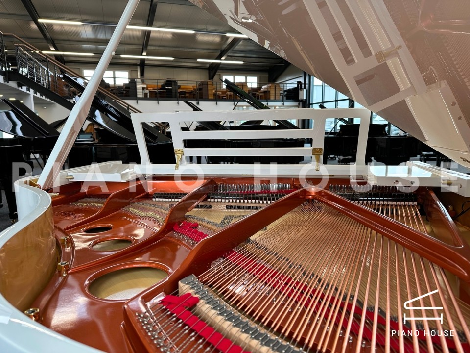 navy ostrich watch bands (4)