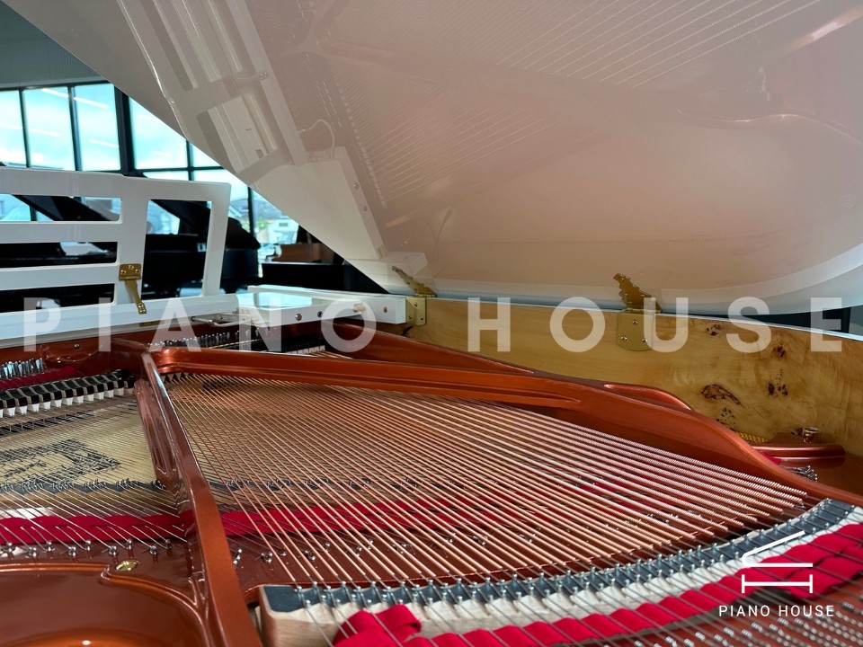 navy ostrich watch bands (4)