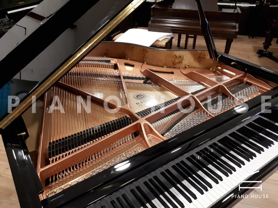 navy ostrich watch bands (4)