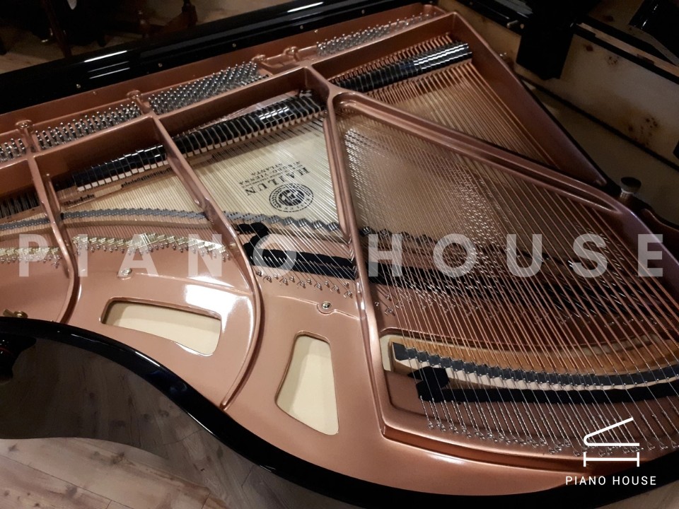 navy ostrich watch bands (4)