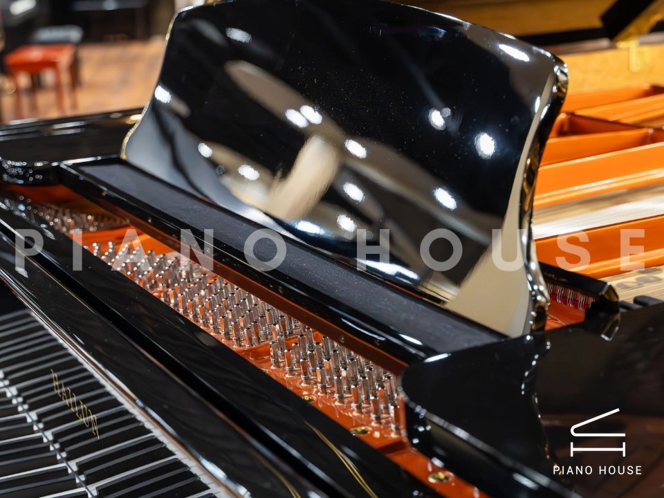 navy ostrich watch bands (4)