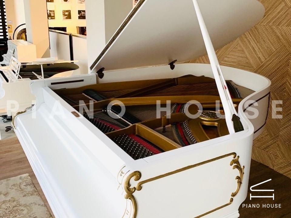 navy ostrich watch bands (4)