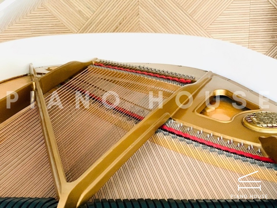 navy ostrich watch bands (4)