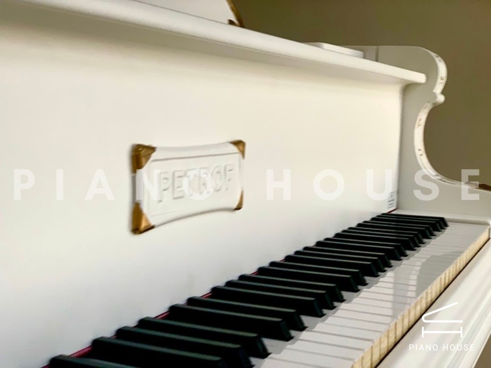 navy ostrich watch bands (4)