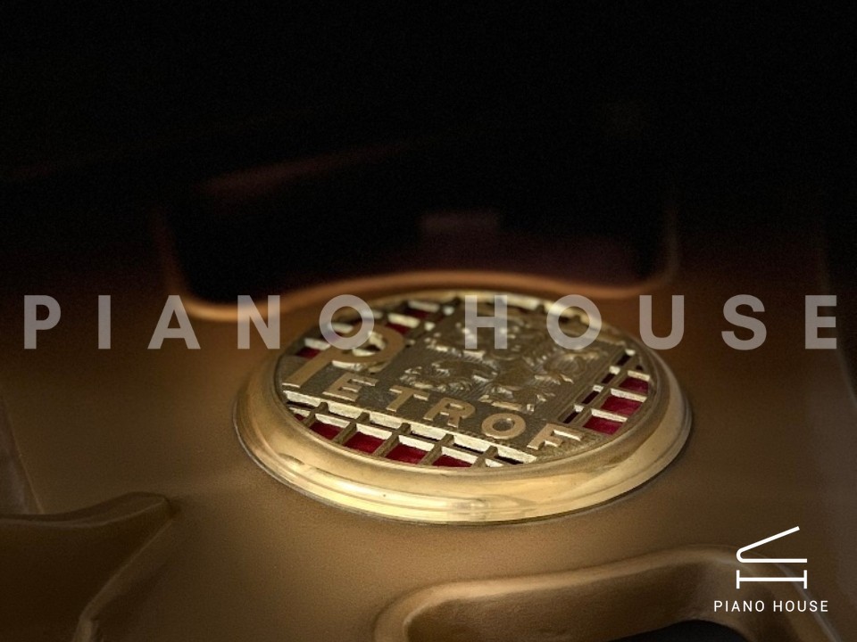 navy ostrich watch bands (4)