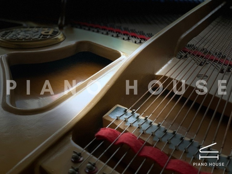 navy ostrich watch bands (4)