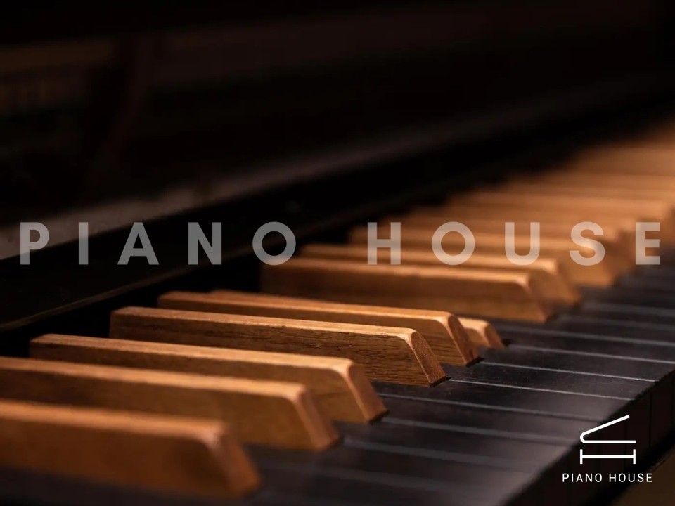 navy ostrich watch bands (4)