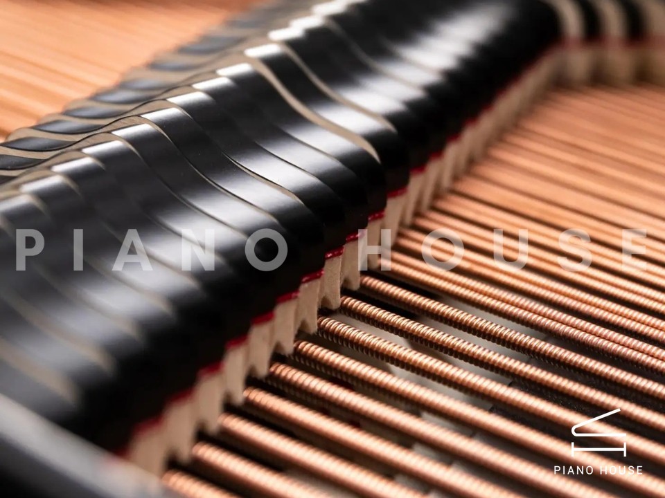 navy ostrich watch bands (4)