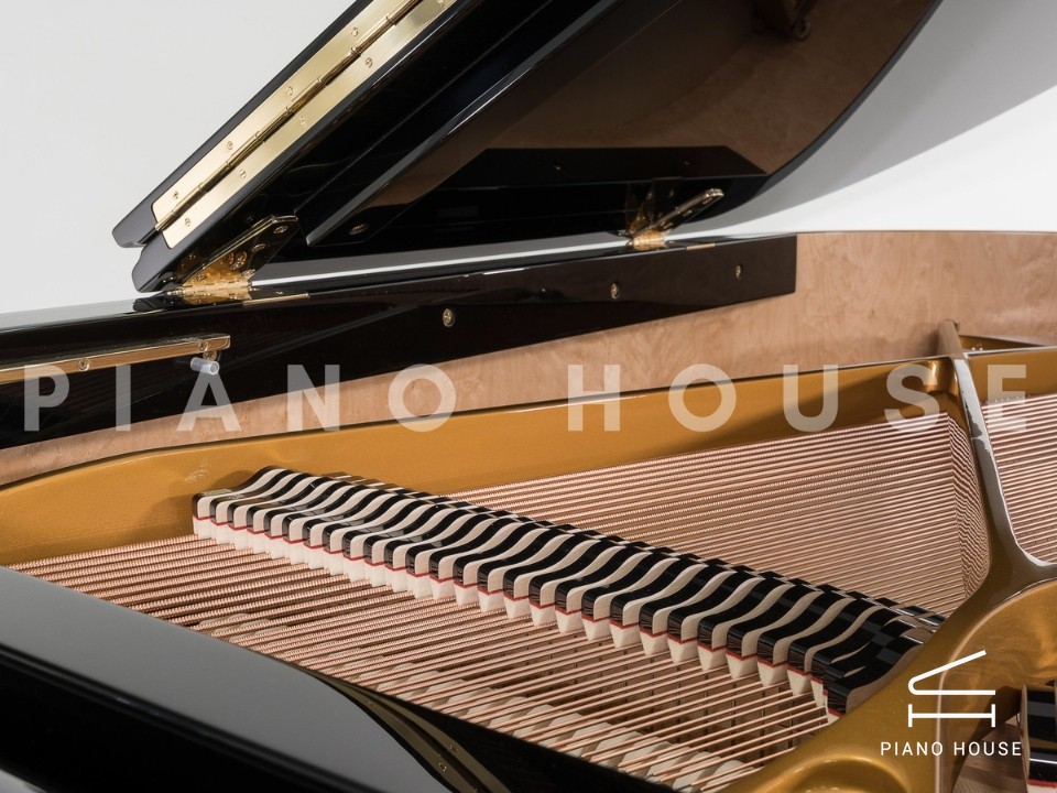 navy ostrich watch bands (4)