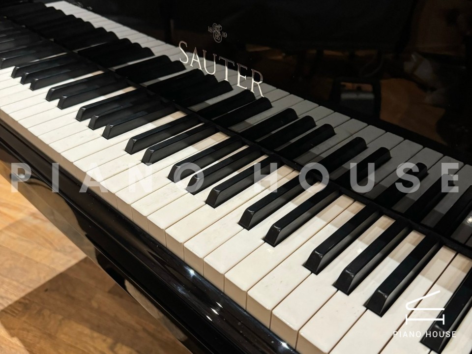 navy ostrich watch bands (4)