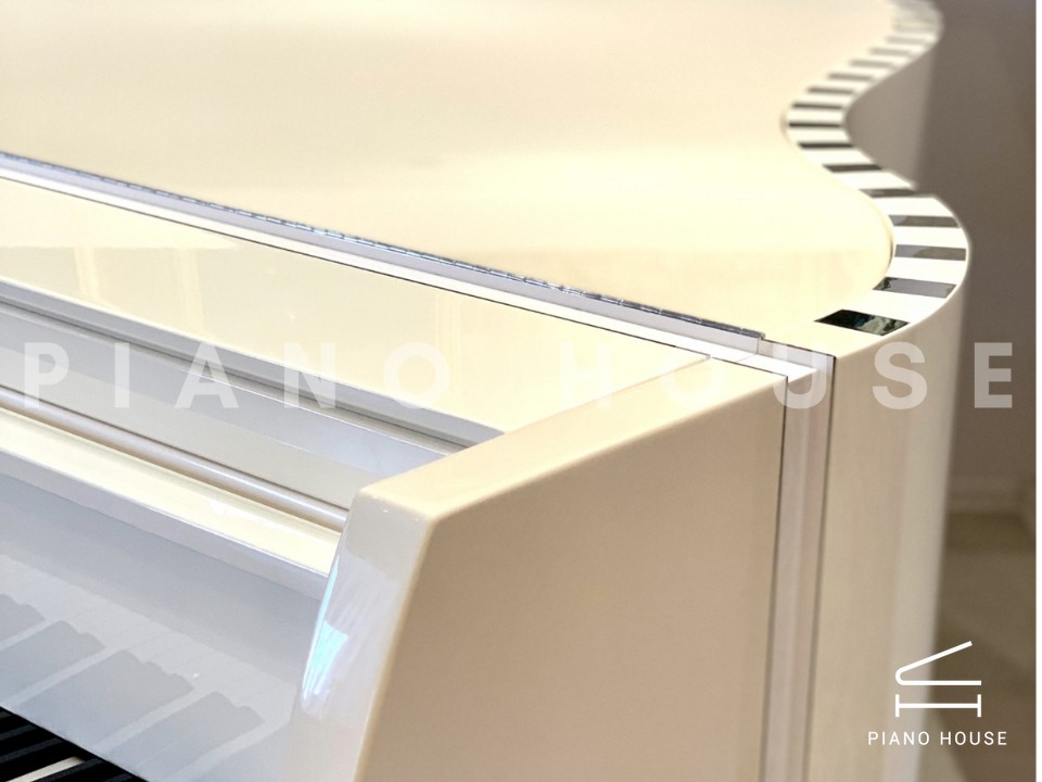 navy ostrich watch bands (4)