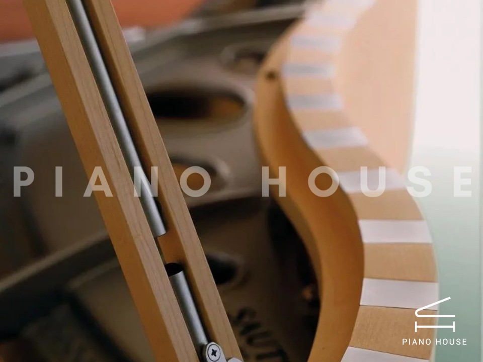 navy ostrich watch bands (4)