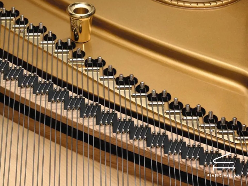 Nikolaus Wilhelm Schimmel Edition