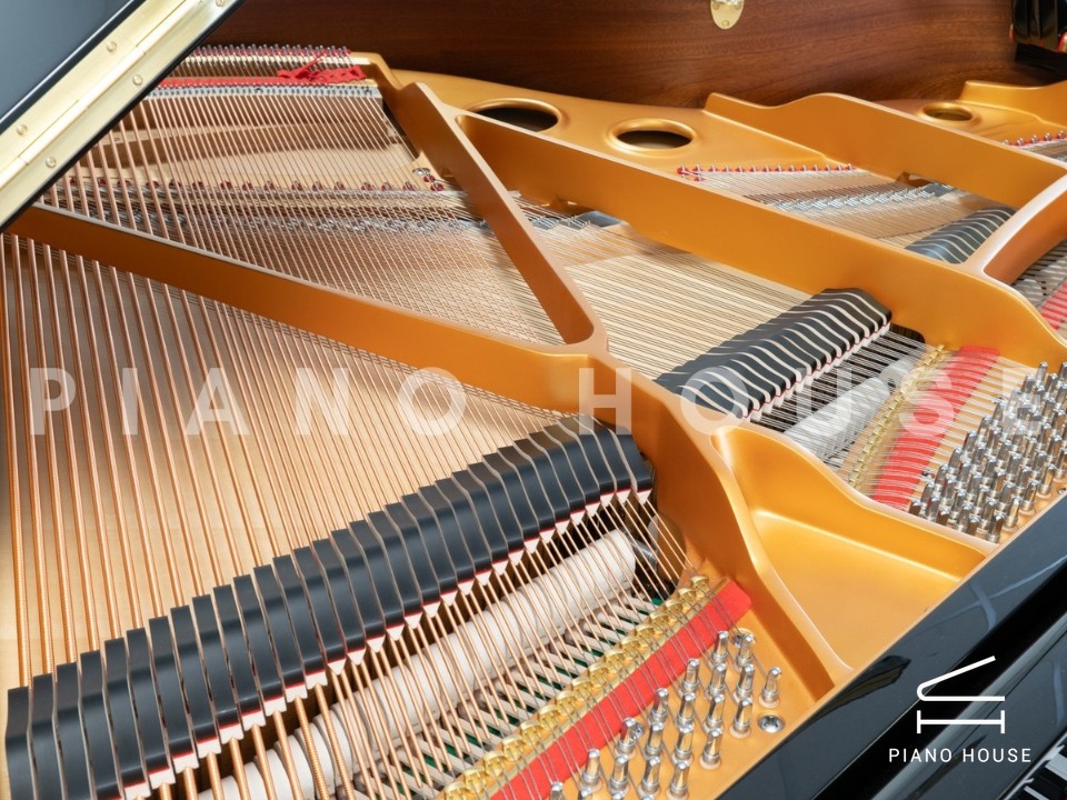 navy ostrich watch bands (4)