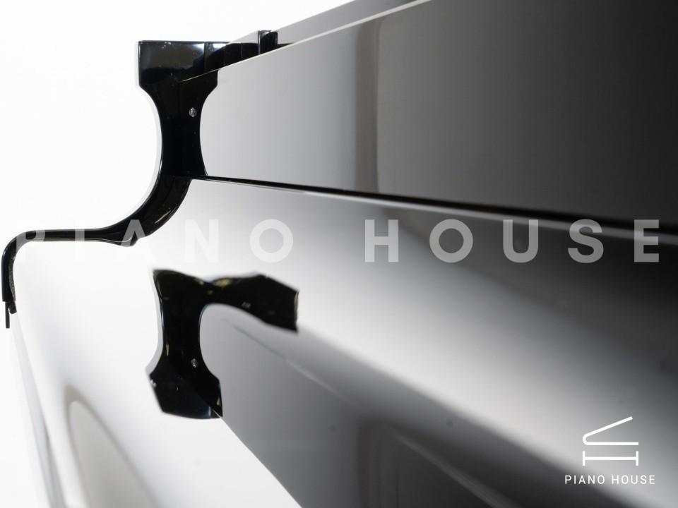 navy ostrich watch bands (4)