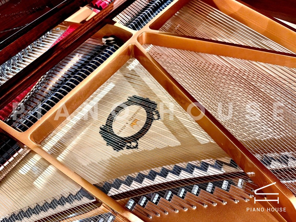 navy ostrich watch bands (4)