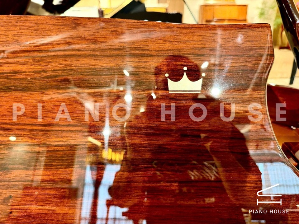 navy ostrich watch bands (4)