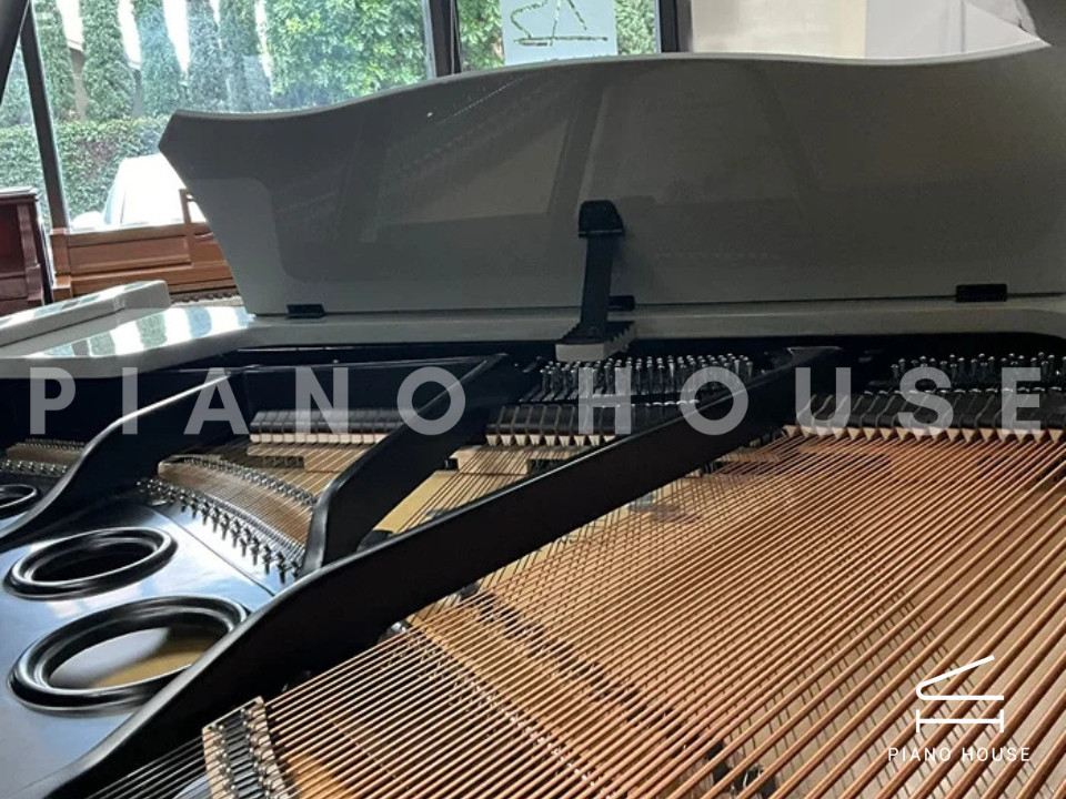 navy ostrich watch bands (4)