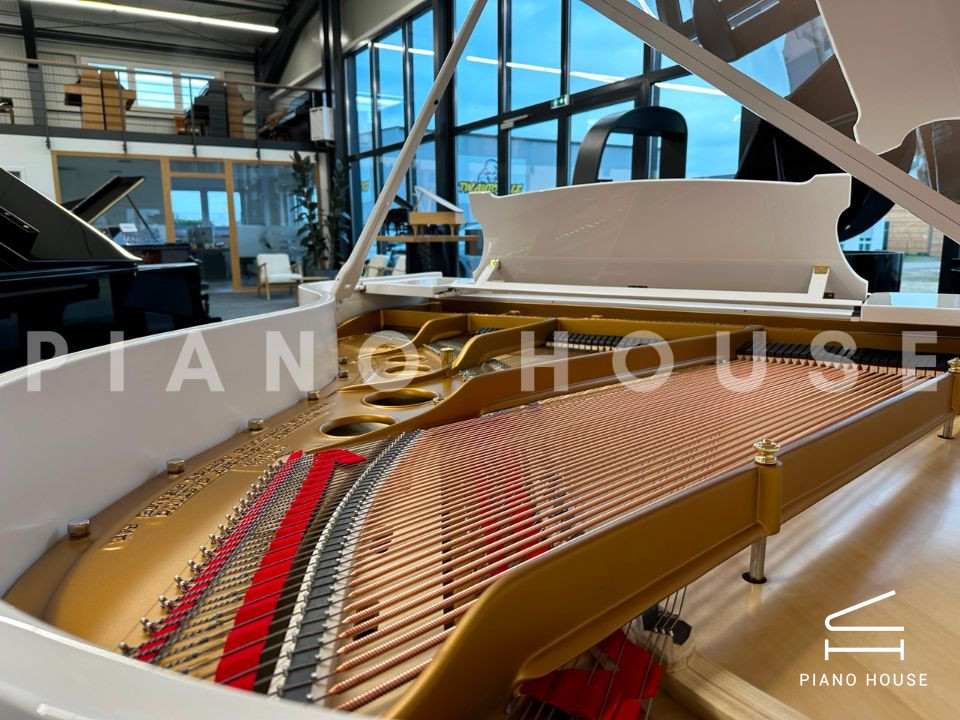 navy ostrich watch bands (4)