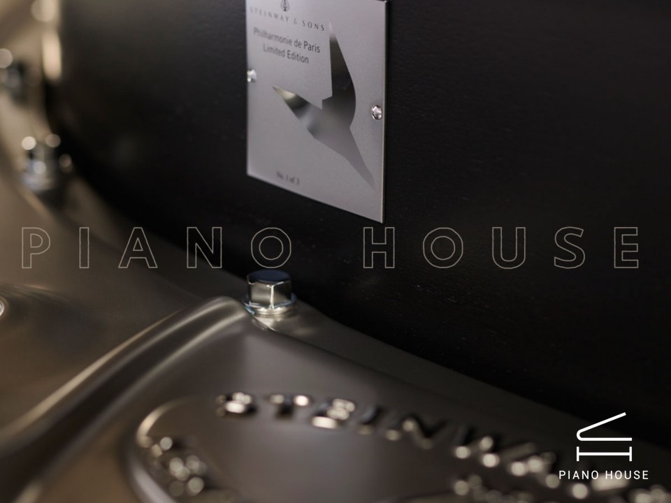 navy ostrich watch bands (4)