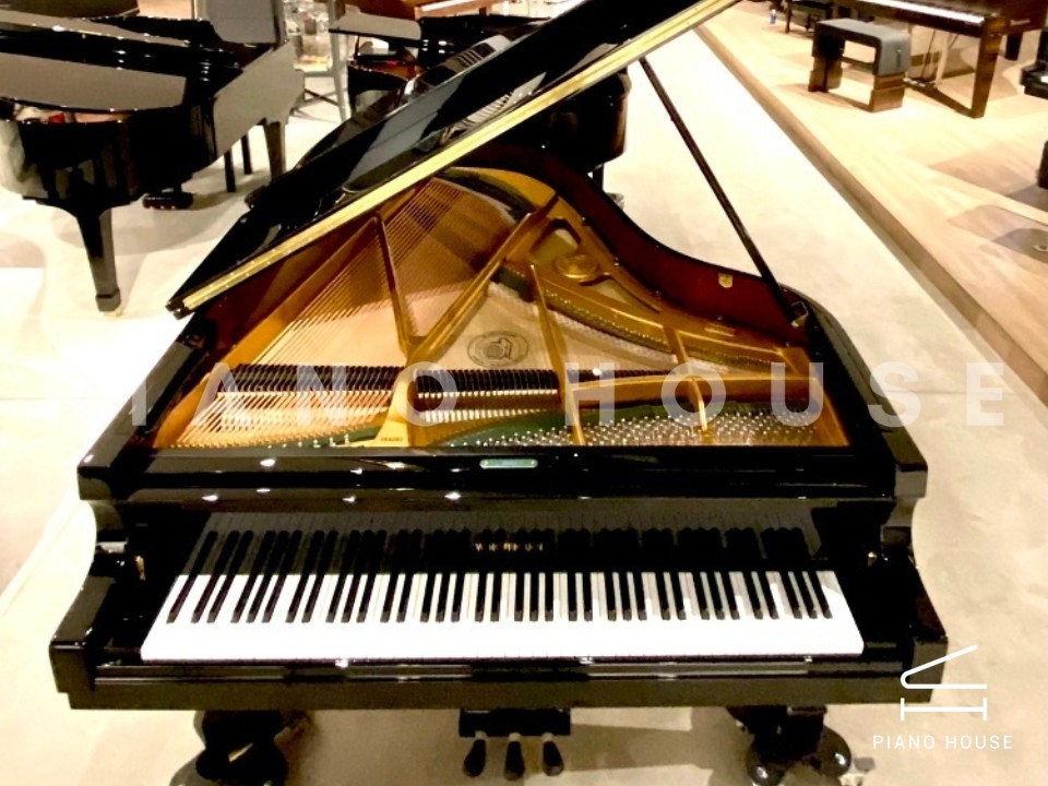 navy ostrich watch bands (4)