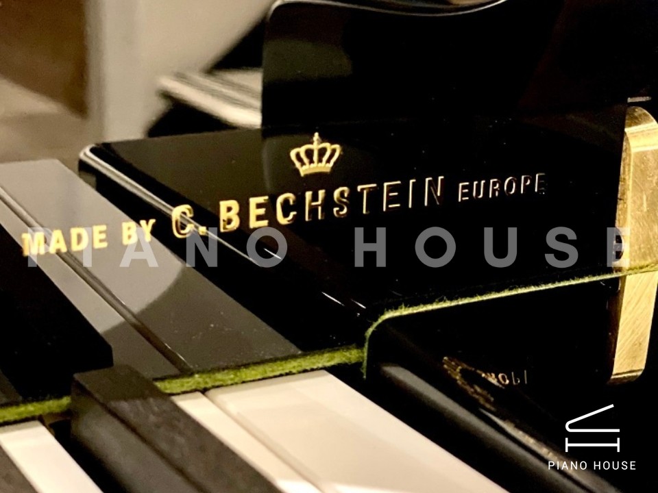 navy ostrich watch bands (4)