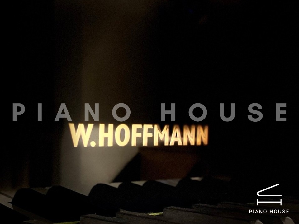 navy ostrich watch bands (4)