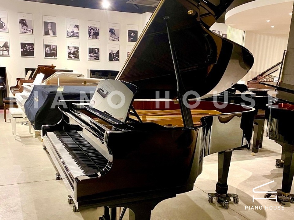 navy ostrich watch bands (4)