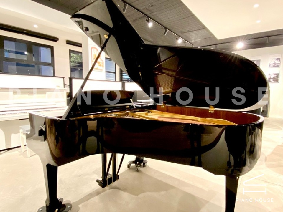 navy ostrich watch bands (4)