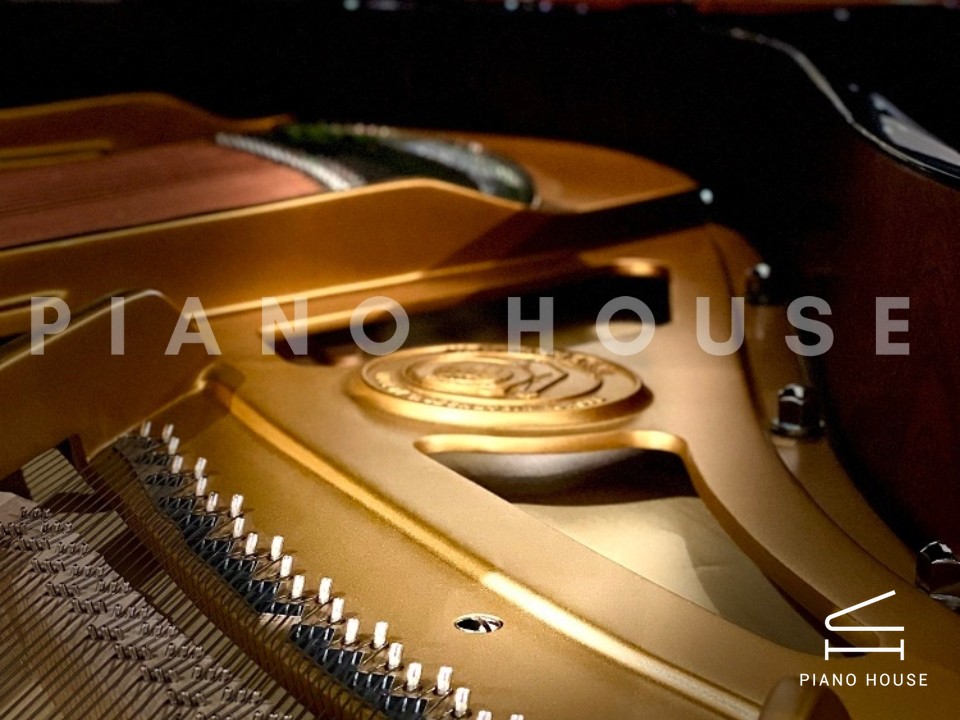 navy ostrich watch bands (4)