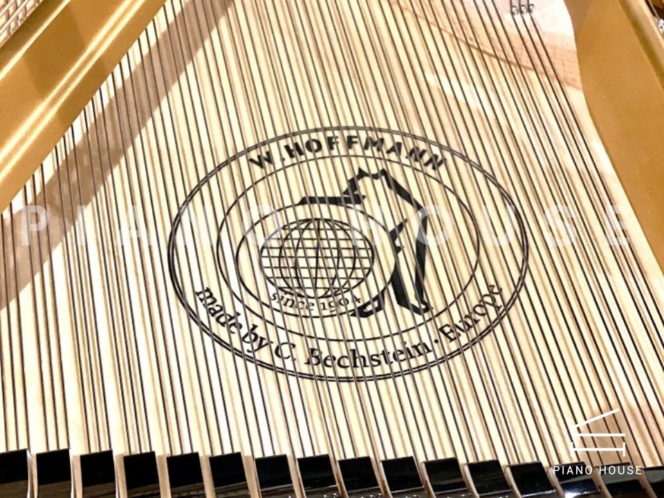 navy ostrich watch bands (4)